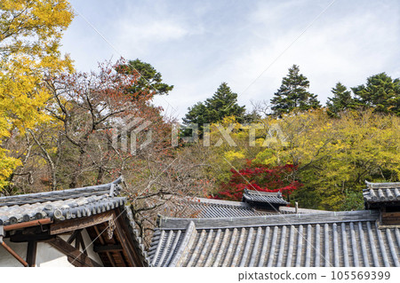 染紅葉的東大寺二月堂伊拉卡 染紅葉的東大寺二月堂伊拉卡 105569399