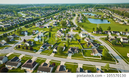 Road lined in pine trees separating two large neighborhoods full of suburban homes Road lined in pine trees separating two large neighborhoods full of suburban homes 105570130