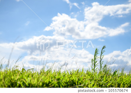 夏季高原風景 夏季天空 夏季彩色圖像 夏季高原風景 夏季天空 夏季彩色圖像 105570674