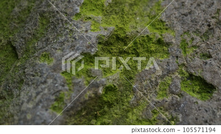 Astringent background material, rock, moss, stone Astringent background material, rock, moss, stone 105571194