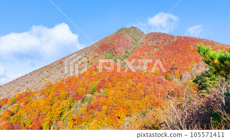 秋天攀登磐梯山：豬苗代起點～赤花山（登山道上眺望磐梯山） 105571411