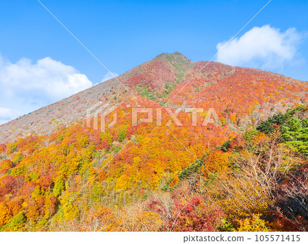 秋天攀登磐梯山：豬苗代起點～赤花山（登山道上眺望磐梯山） 105571415
