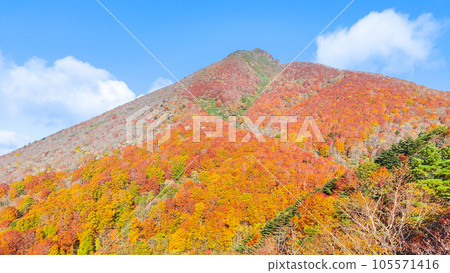 秋天攀登磐梯山：豬苗代起點～赤花山（登山道上眺望磐梯山） 105571416