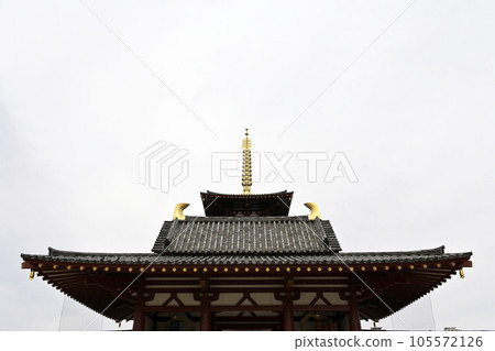 West gate and five-storied pagoda West gate and five-storied pagoda 105572126