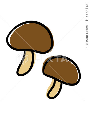 mushroom shiitake mushroom shiitake 105572148