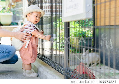 Curious about animals Baby curiosity zoo rabbit Curious about animals Baby curiosity zoo rabbit 105573821