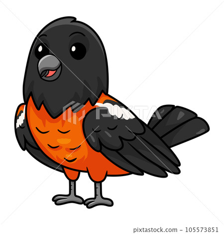 Cute venezuelan troupial bird cartoon Cute venezuelan troupial bird cartoon 105573851