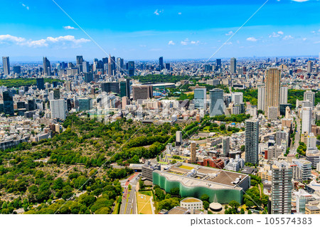 東京，港區，從六本木新城展望台（新宿區）欣賞城市景觀 105574383