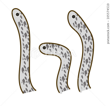 花園鰻 01 花園鰻 01 105574510