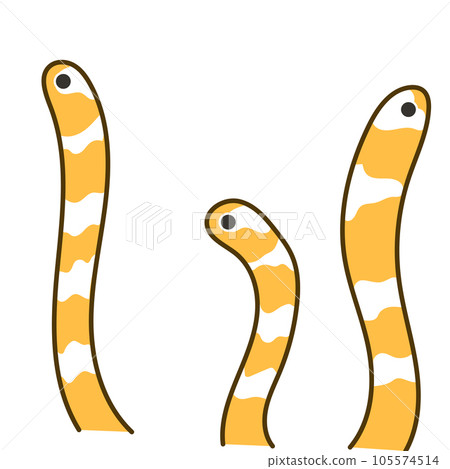 Western eel 01 Western eel 01 105574514