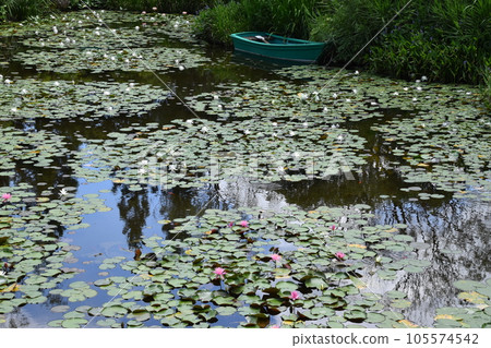 Garden Museum Hiei 105574542