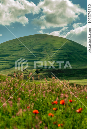 The extinct volcano Vayots Sar in Armenia against the background of a flower meadow. Top of the volcano 2650m 105574880