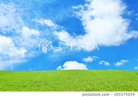 清爽的夏日藍天和新鮮的綠色草地 105575034