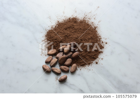 cocoa beans and cocoa powder cocoa beans and cocoa powder 105575079