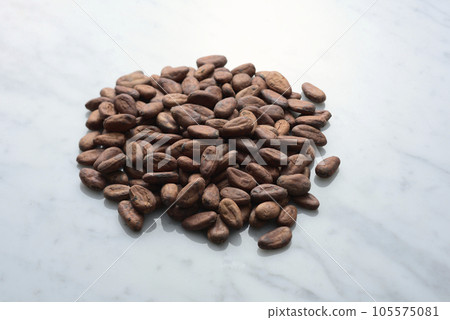 可可豆集合 105575081