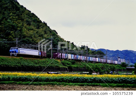 2002 EF200-3 container freight train running on the Tokaido Line 105575239