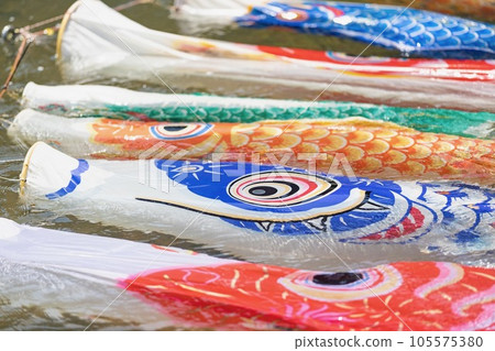 Shallow river, carp sink⑧ Shallow river, carp sink⑧ 105575380