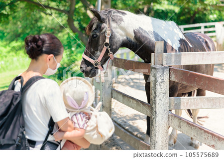 Parent and child looking at ponies on the ranch 105575689