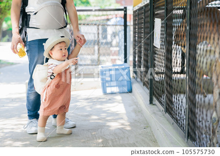 Baby curious about animals zoo pointing finger 105575730