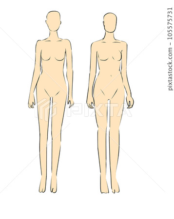 女性模特的插圖。女性全身輪廓的插圖。 105575731