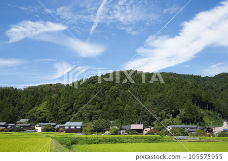 Ichijodani Asakura Ruins (Ichijo Falls) -Summer 105575955