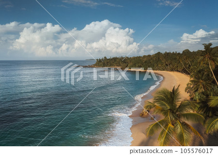 Beautiful Sandy Beach Resort With Palm Trees and Sea Surf with Waves. Silent Beach, Sri Lanka. Beautiful Sandy Beach Resort With Palm Trees and Sea Surf with Waves. Silent Beach, Sri Lanka. 105576017