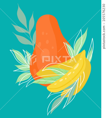 Vector tropical illustration of papaya and banana with foliage on a turquoise background. Flat hand drawn image with fruits and leaves 105576230