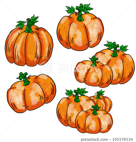 The pumpkin for Thanksgiving day concept png image 105576534