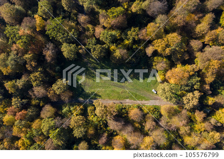 Aerial view of forest canopy in the autumn Aerial view of forest canopy in the autumn 105576799