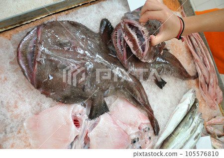 Angler fish with an open mouth and ragged teeth - close-up 105576810