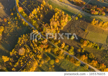 Aerial drone shot of autumn landscape 105576835