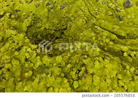 Aerial view of Eldhraun lava field in Iceland 105576858