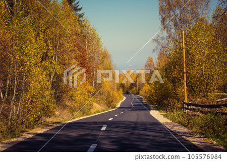 Forest road in the autumn Forest road in the autumn 105576984