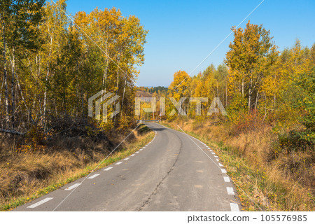 Forest road in the autumn Forest road in the autumn 105576985