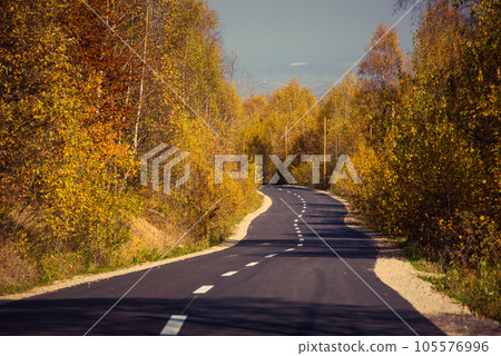 Forest road in the autumn Forest road in the autumn 105576996