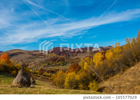 Autumn scene in the mountains 105577029