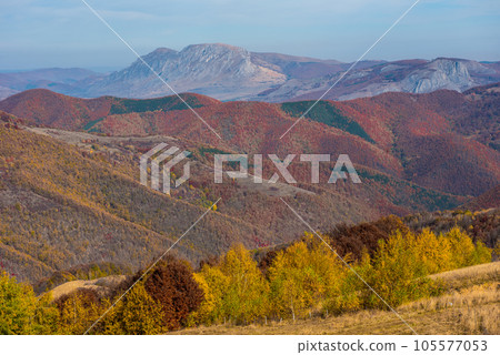 Autumn scene in the mountains 105577053