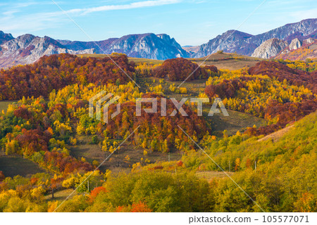 Colorful autumn landscape Colorful autumn landscape 105577071