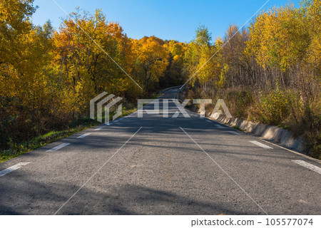 Forest road in the autumn Forest road in the autumn 105577074