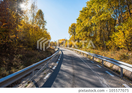Forest road in the autumn Forest road in the autumn 105577075