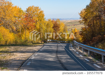 Forest road in the autumn Forest road in the autumn 105577078