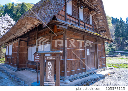 富山縣五箇山市:春天櫻花盛開時,菅沼合掌造村的鹽和胡椒屋 富山縣五箇山市:春天櫻花盛開時,菅沼合掌造村的鹽和胡椒屋 105577115