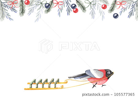 bullfinch sled postcard bullfinch sled postcard 105577365