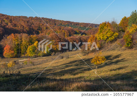 Autumn landscape in Romania 105577967