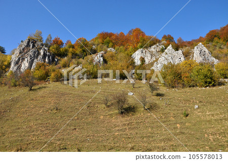Mountain autumn landscape with colorful forest 105578013