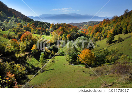 Mountain autumn landscape with colorful forest Mountain autumn landscape with colorful forest 105578017