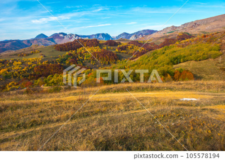 Autumn landscape, colorful forest 105578194