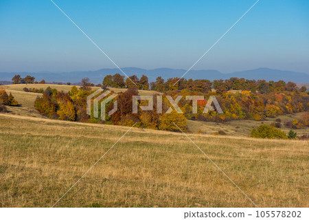 Autumn landscape, colorful forest 105578202