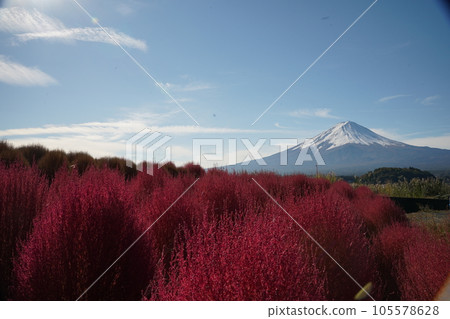 與Kokia的景觀 105578628