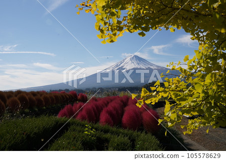 與Kokia的景觀 105578629